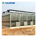 Greenhouse agrícola para plantio de tomate/pepino